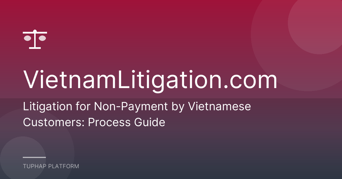Litigation for Non-Payment by Vietnamese Customers: Process Guide